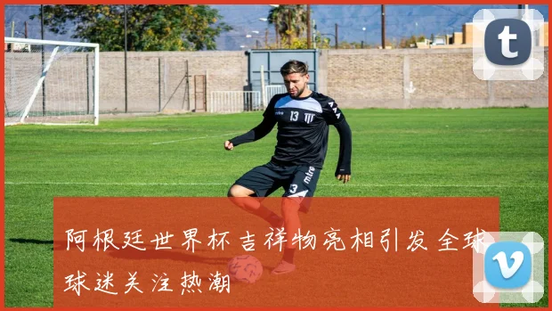 阿根廷世界杯吉祥物亮相引发全球球迷关注热潮