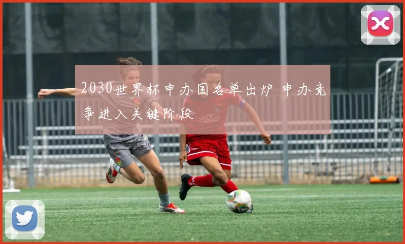 2030世界杯申办国名单出炉 申办竞争进入关键阶段