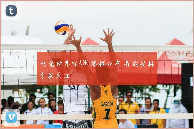 电竞世界杯ANG赛程公布 备战安排引发关注