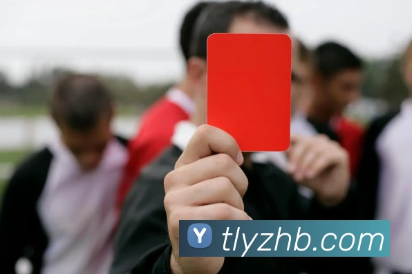 开云官方登录发展历程